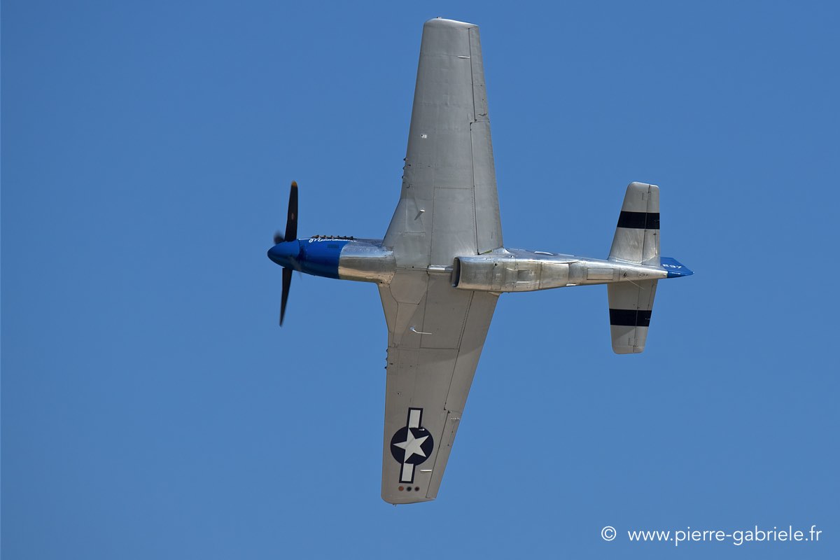 mustang_3524.jpg