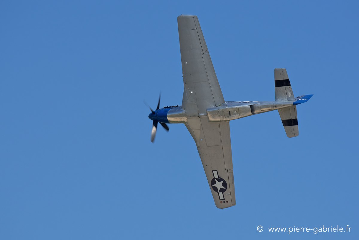 mustang_3525.jpg