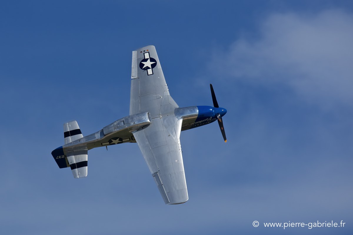 mustang_3530.jpg
