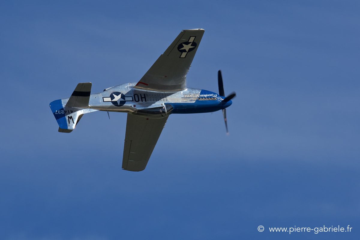 mustang_3532.jpg