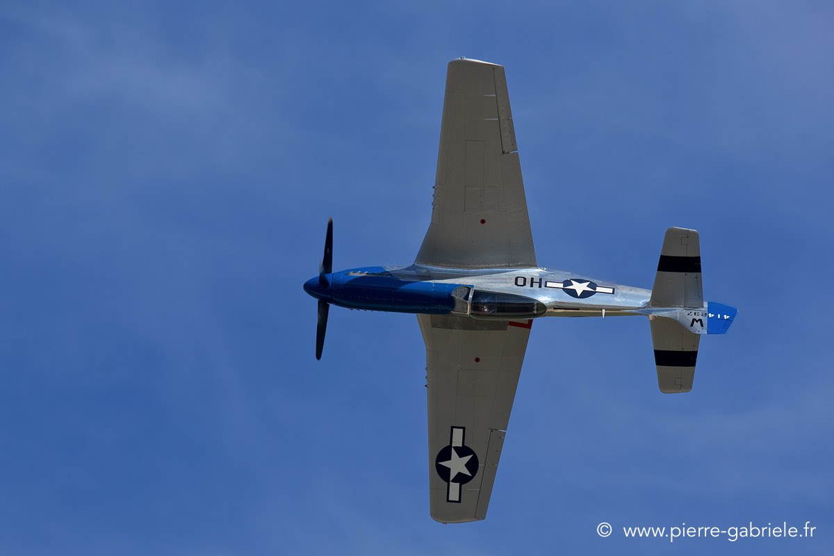 mustang_3542.jpg