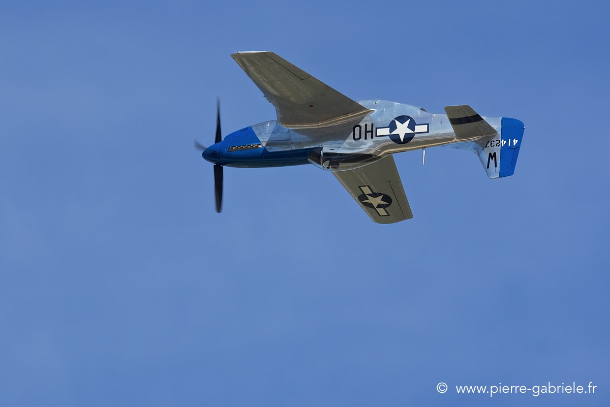 mustang_3543.jpg
