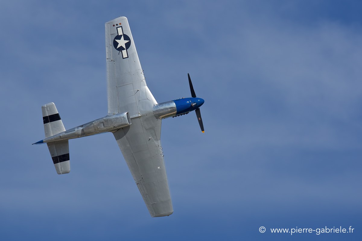 mustang_3546.jpg