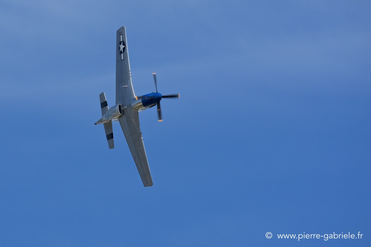 mustang_3548.jpg