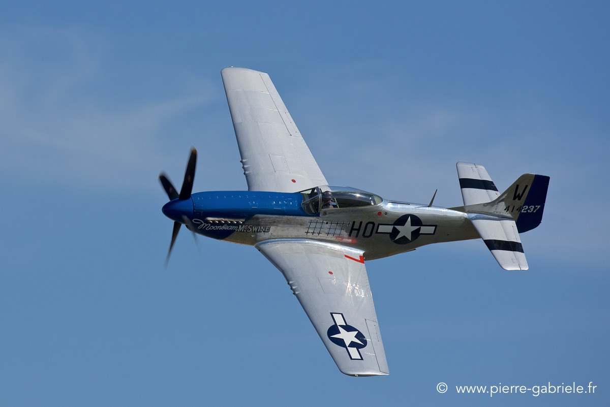 mustang_3552.jpg