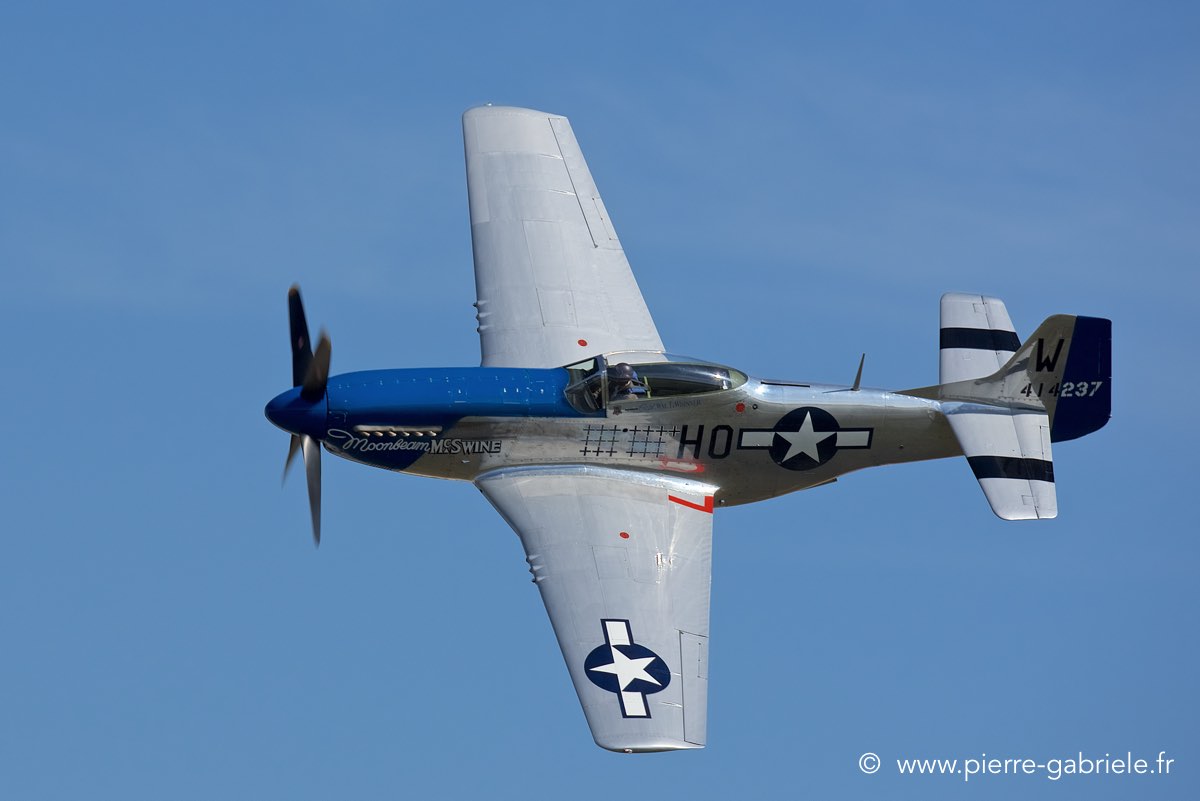 mustang_3553.jpg
