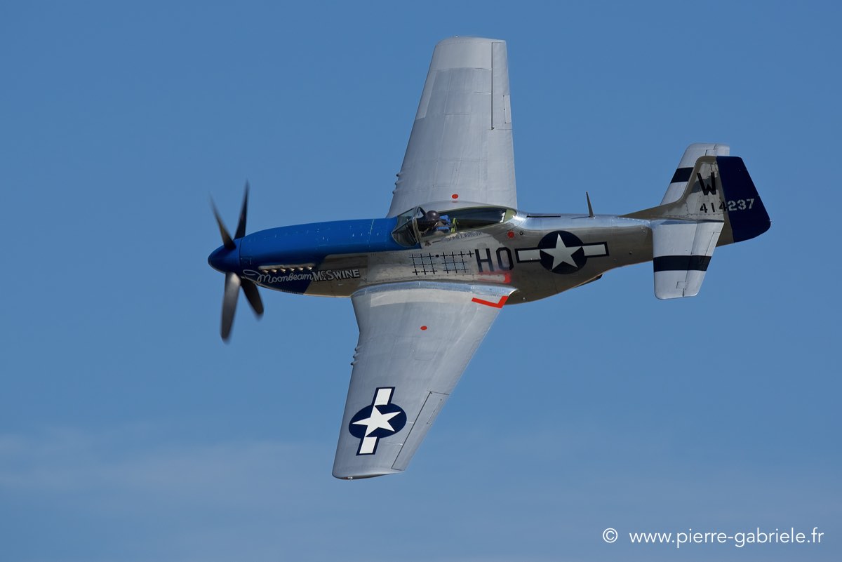 mustang_3555.jpg