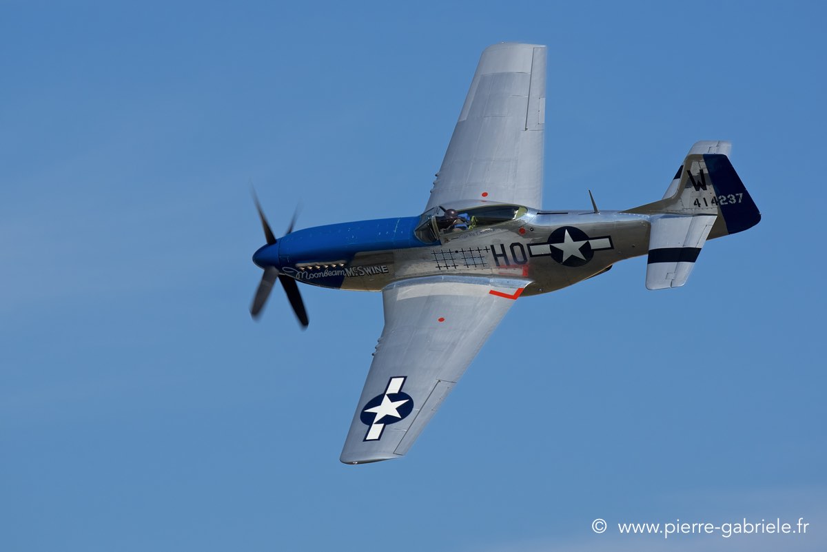 mustang_3556.jpg