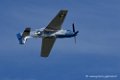 mustang_3532