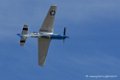mustang_3533