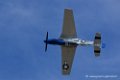 mustang_3542