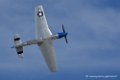 mustang_3546