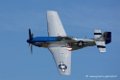 mustang_3553