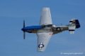 mustang_3554