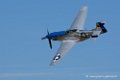 mustang_3557
