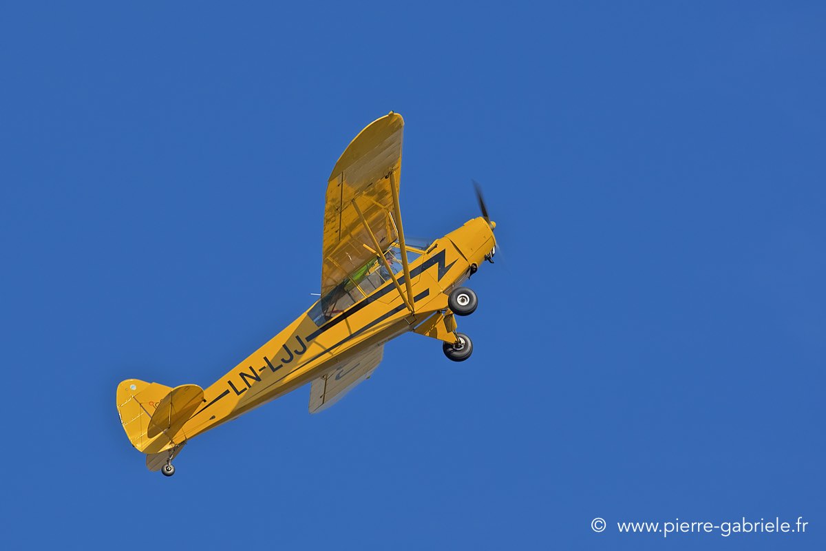 piper_3891.jpg