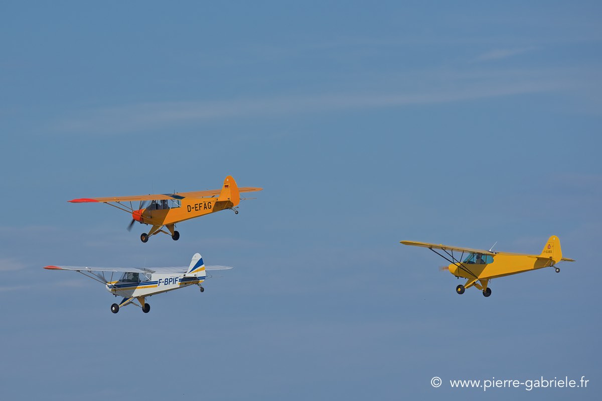 piper_3894.jpg