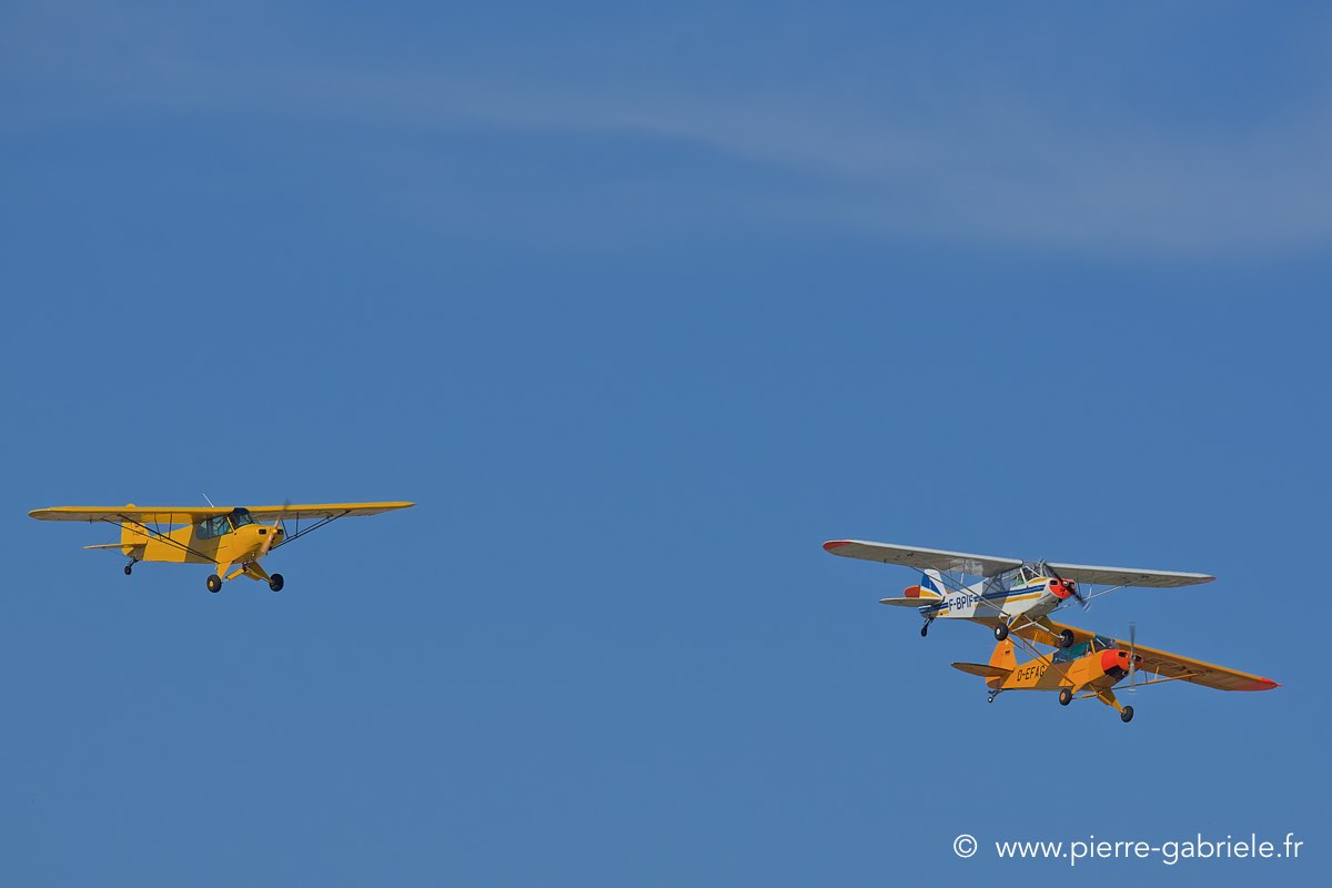 piper_3897.jpg