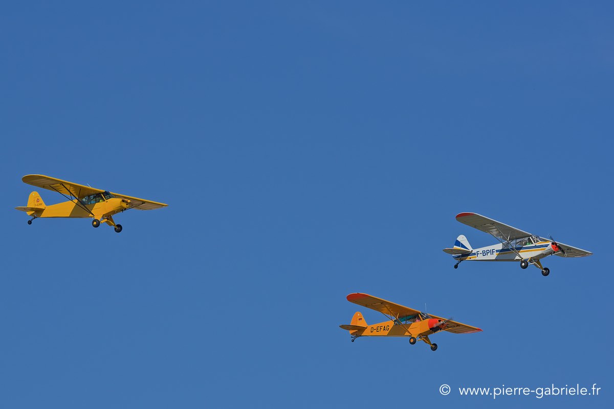 piper_3898.jpg