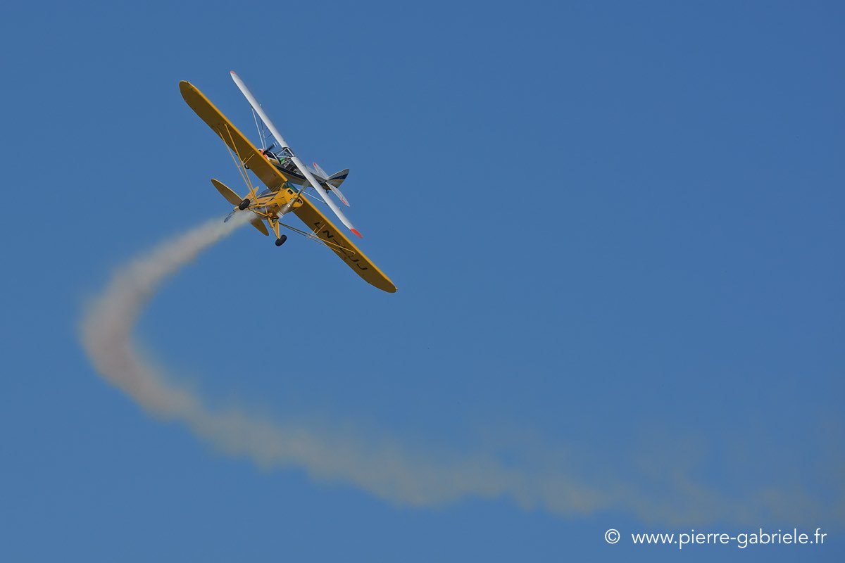 piper_3909.jpg