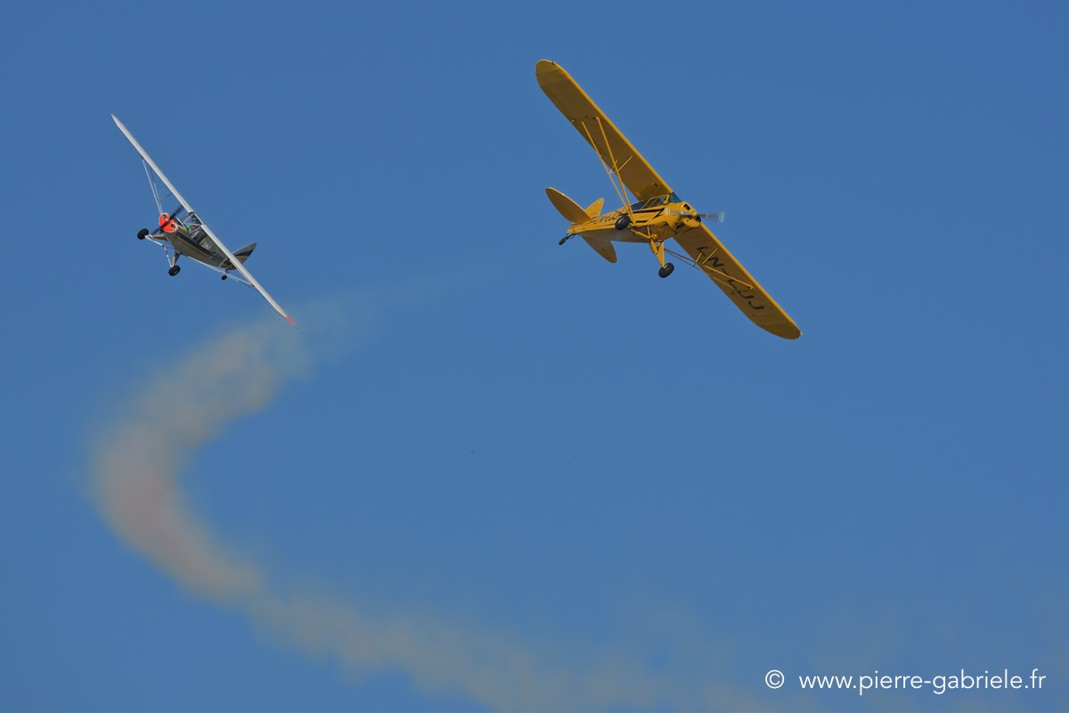 piper_3910.jpg