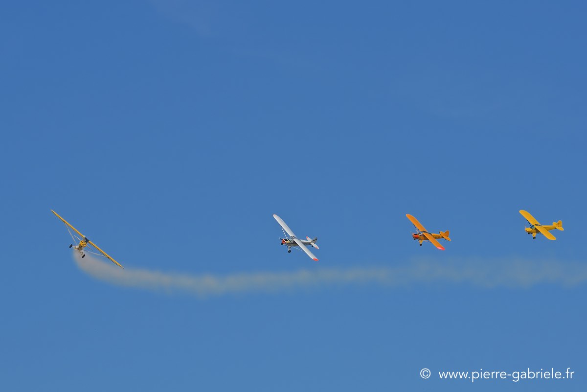 piper_3915.jpg