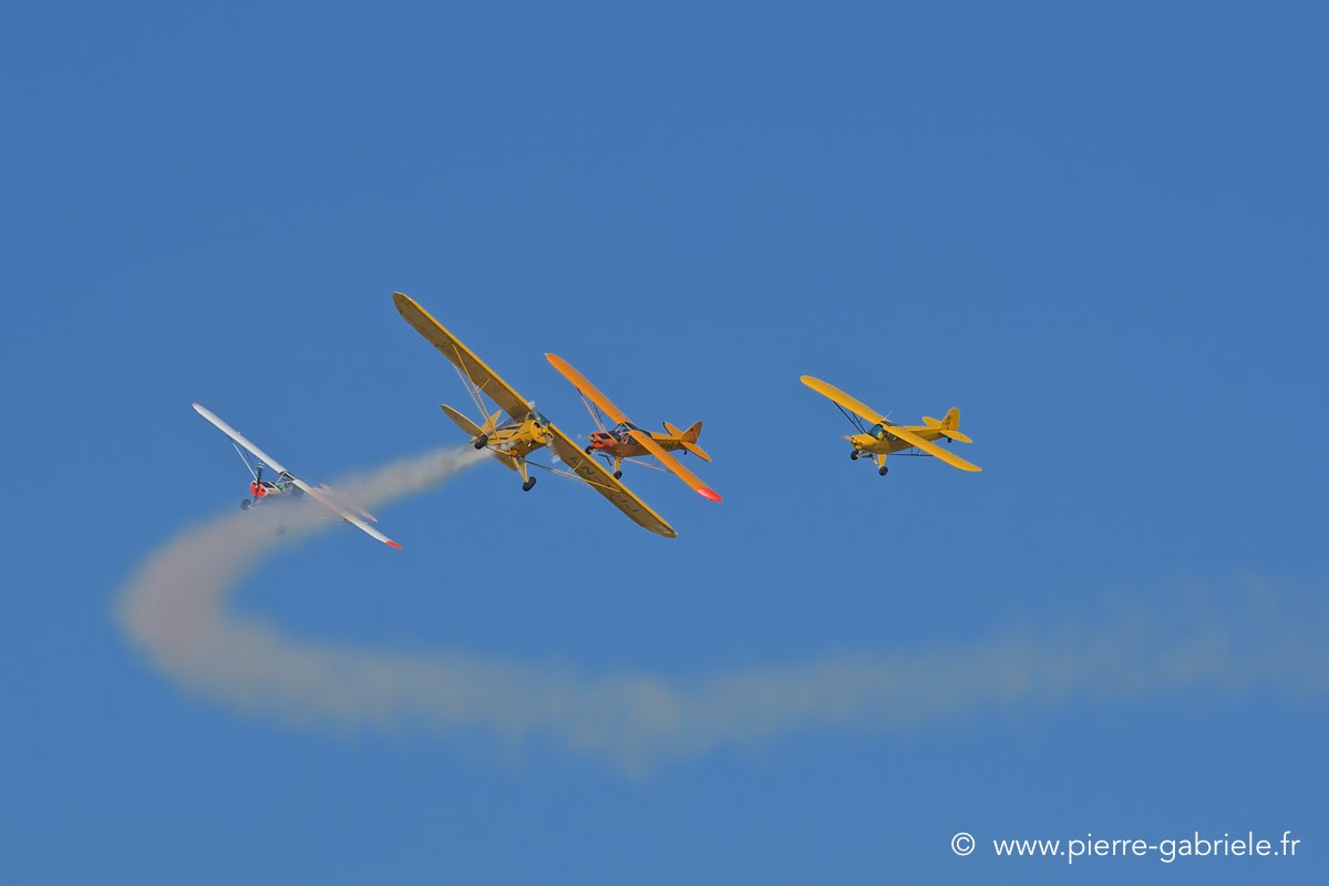 piper_3916.jpg