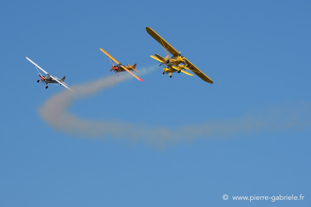 piper_3917.jpg