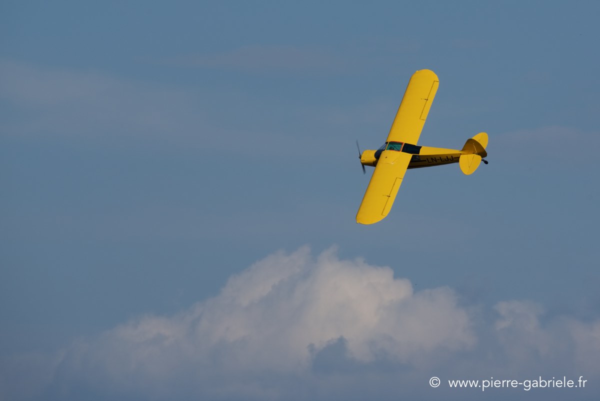 piper_3918.jpg