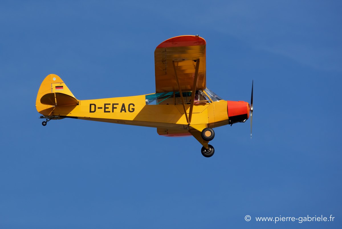 piper_3920.jpg
