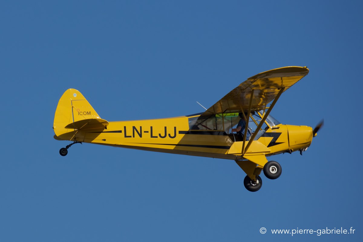 piper_3922.jpg