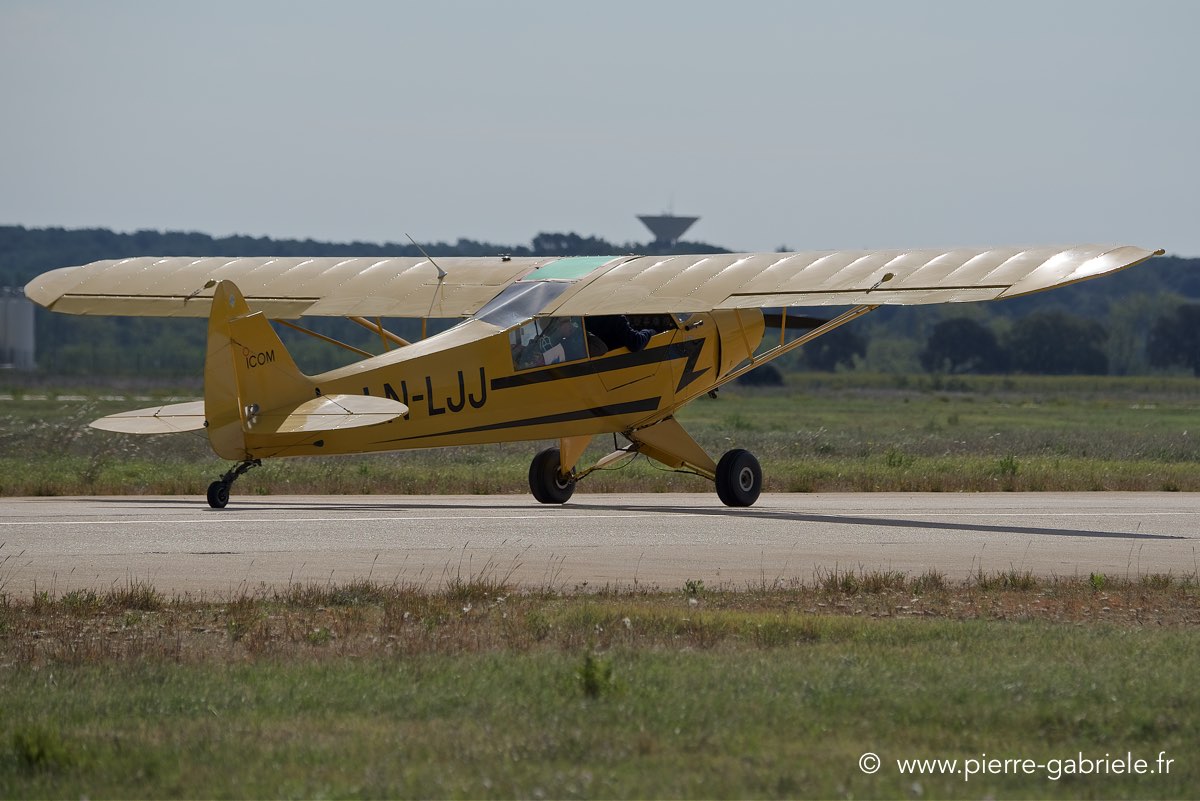 piper_6137.jpg