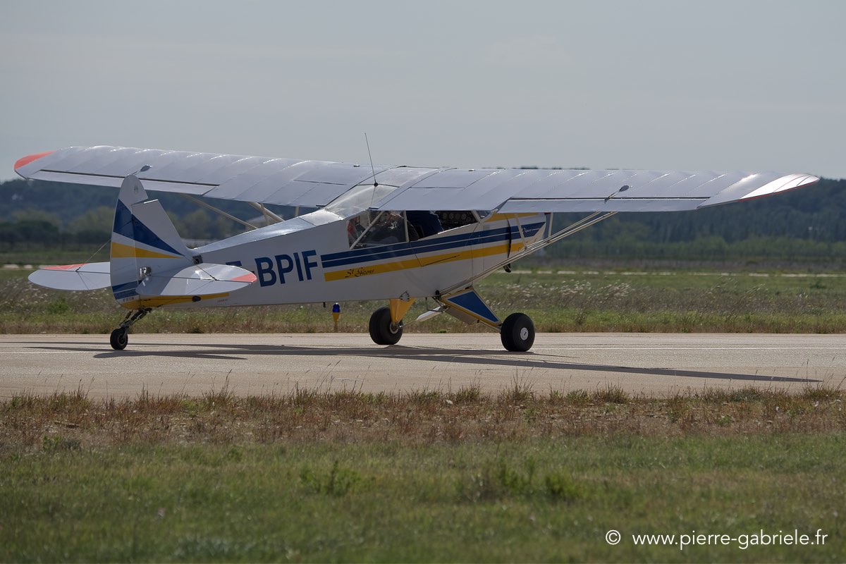 piper_6139.jpg