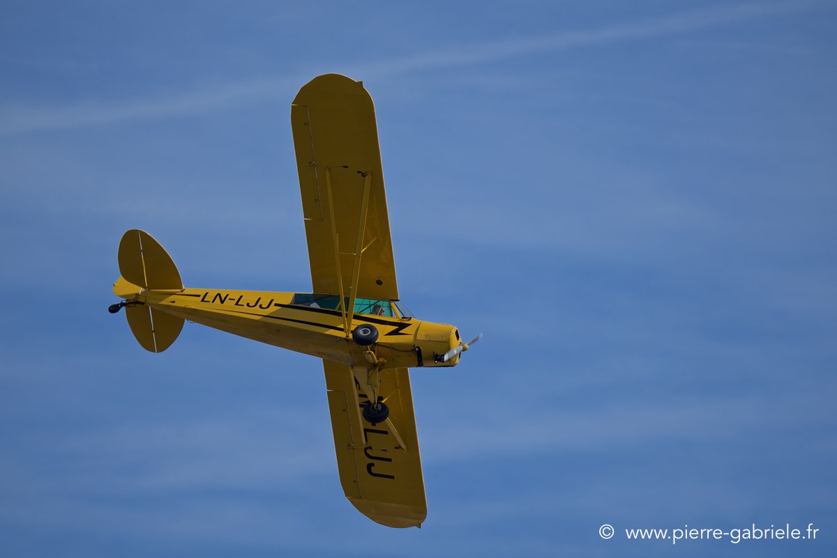piper_6298.jpg