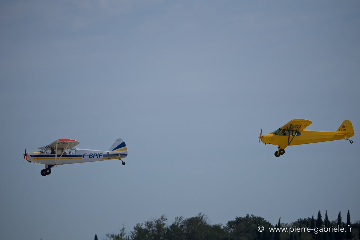 piper_6301.jpg