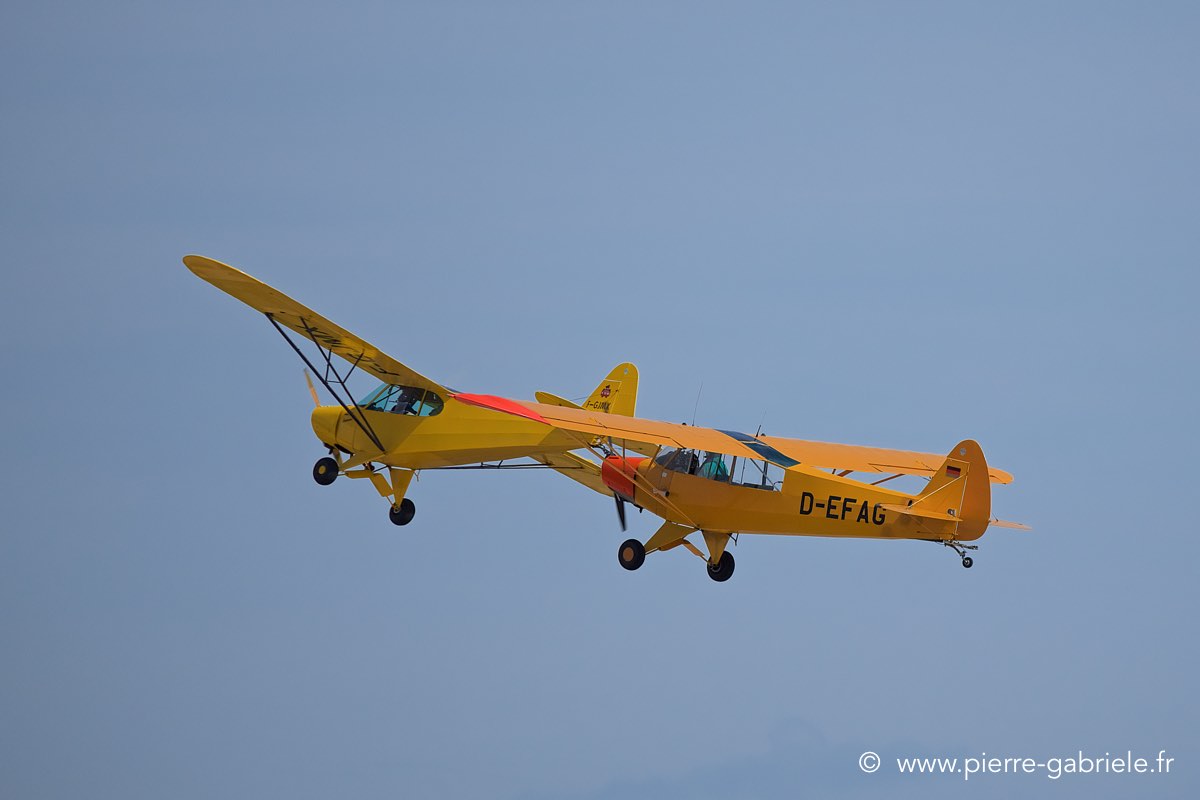 piper_6303.jpg