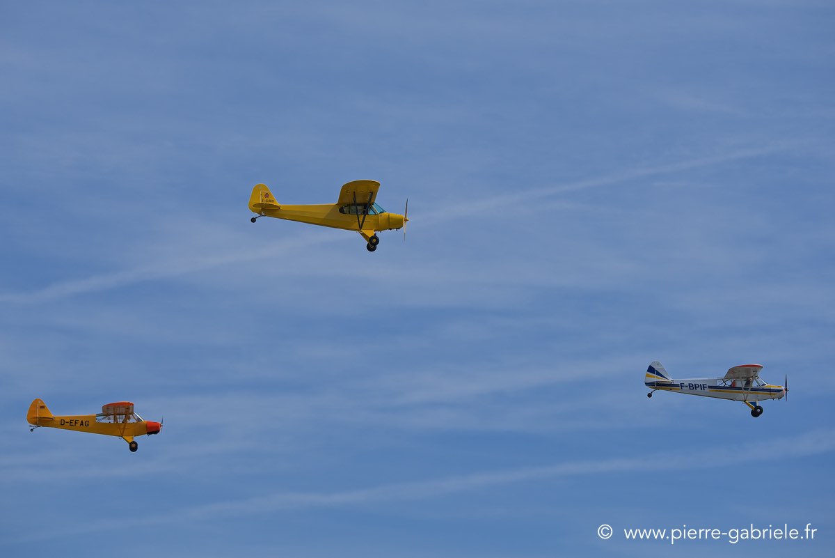 piper_6307.jpg