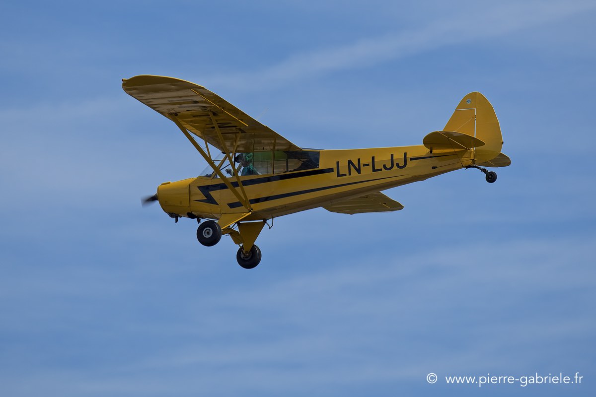 piper_6309.jpg