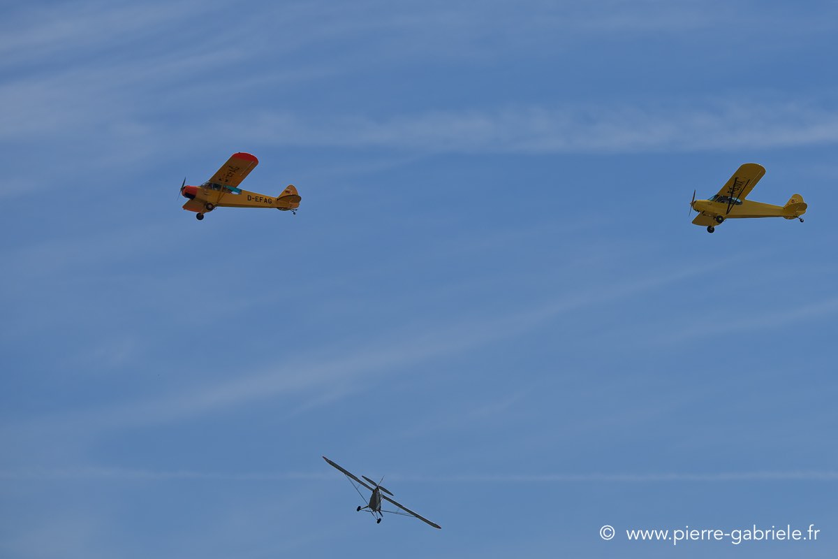 piper_6312.jpg