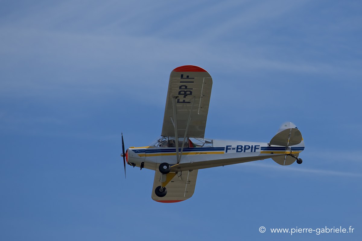 piper_6315.jpg