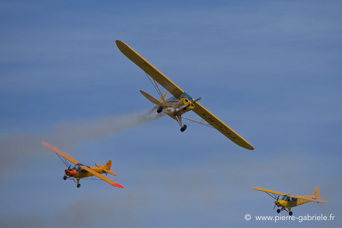 piper_6322.jpg