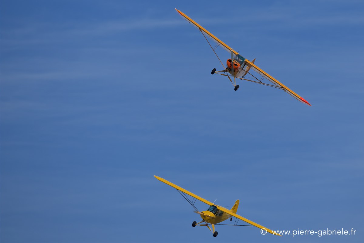 piper_6324.jpg