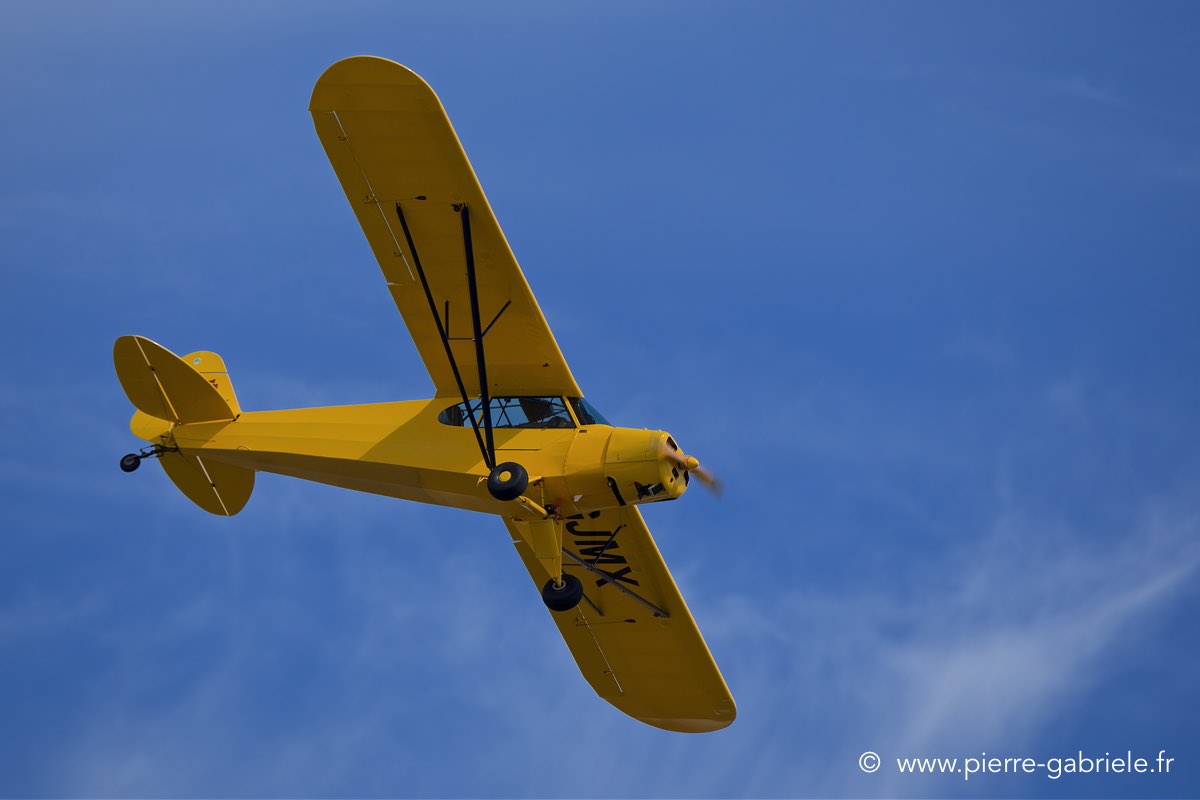 piper_6325.jpg