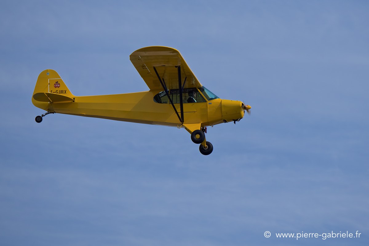 piper_6338.jpg