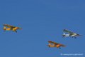 piper_3898