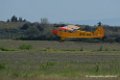 piper_6130