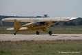piper_6137