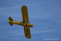 piper_6298