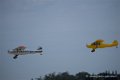 piper_6301