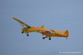piper_6303